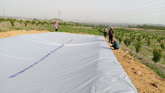 مخزن مياه المطر في الدفيئة (PVC Tarpaulin Water Storage Tank) للمري الزراعي