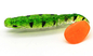 Soft T Tail Monnow Lures PVC Bionic Fake Bait Fishing 16 لون 8CM 6g